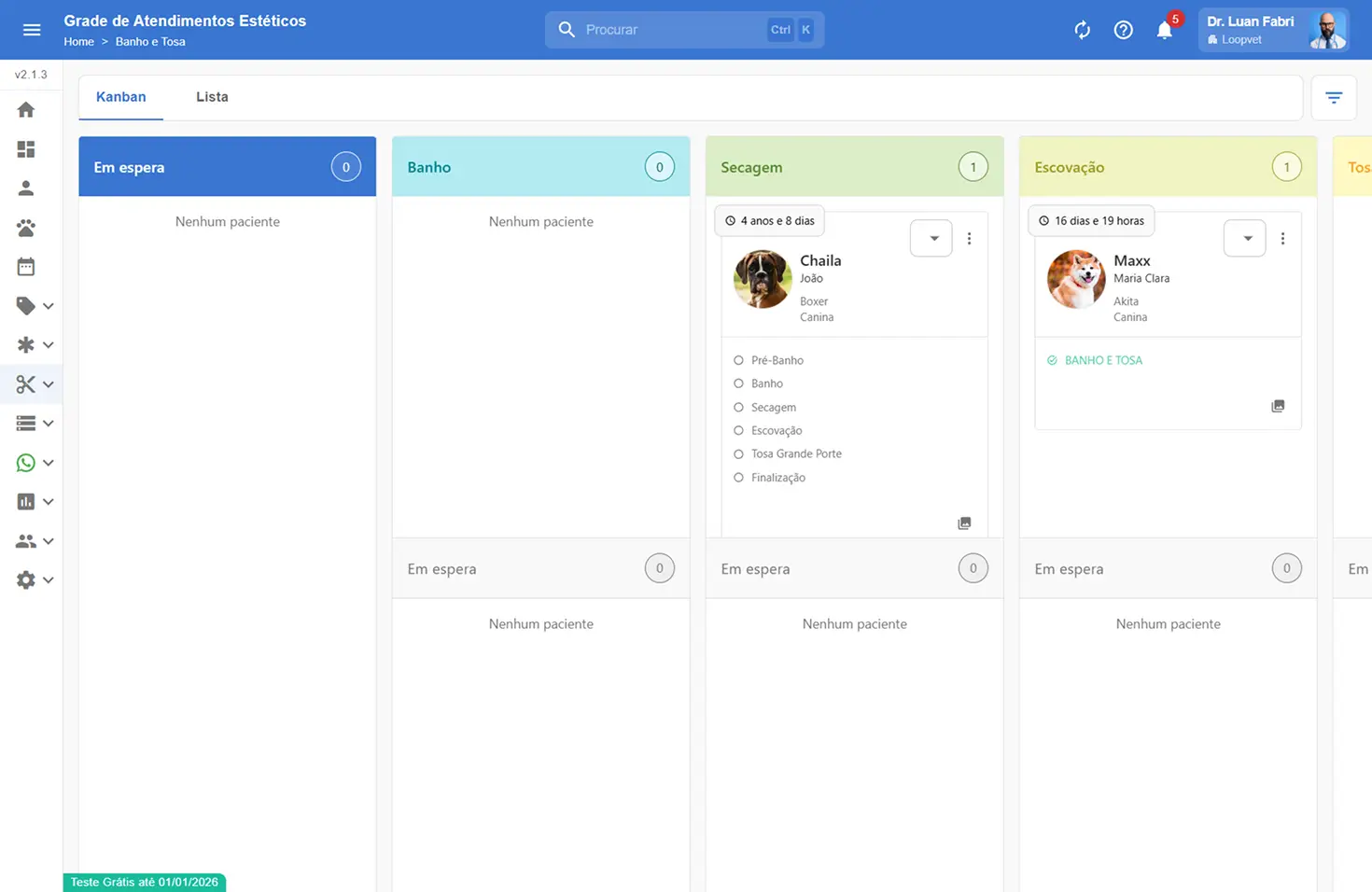 Captura de tela da grade de atendimentos estéticos